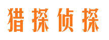 武城侦探